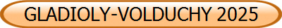 GLADIOLY-VOLDUCHY 2025